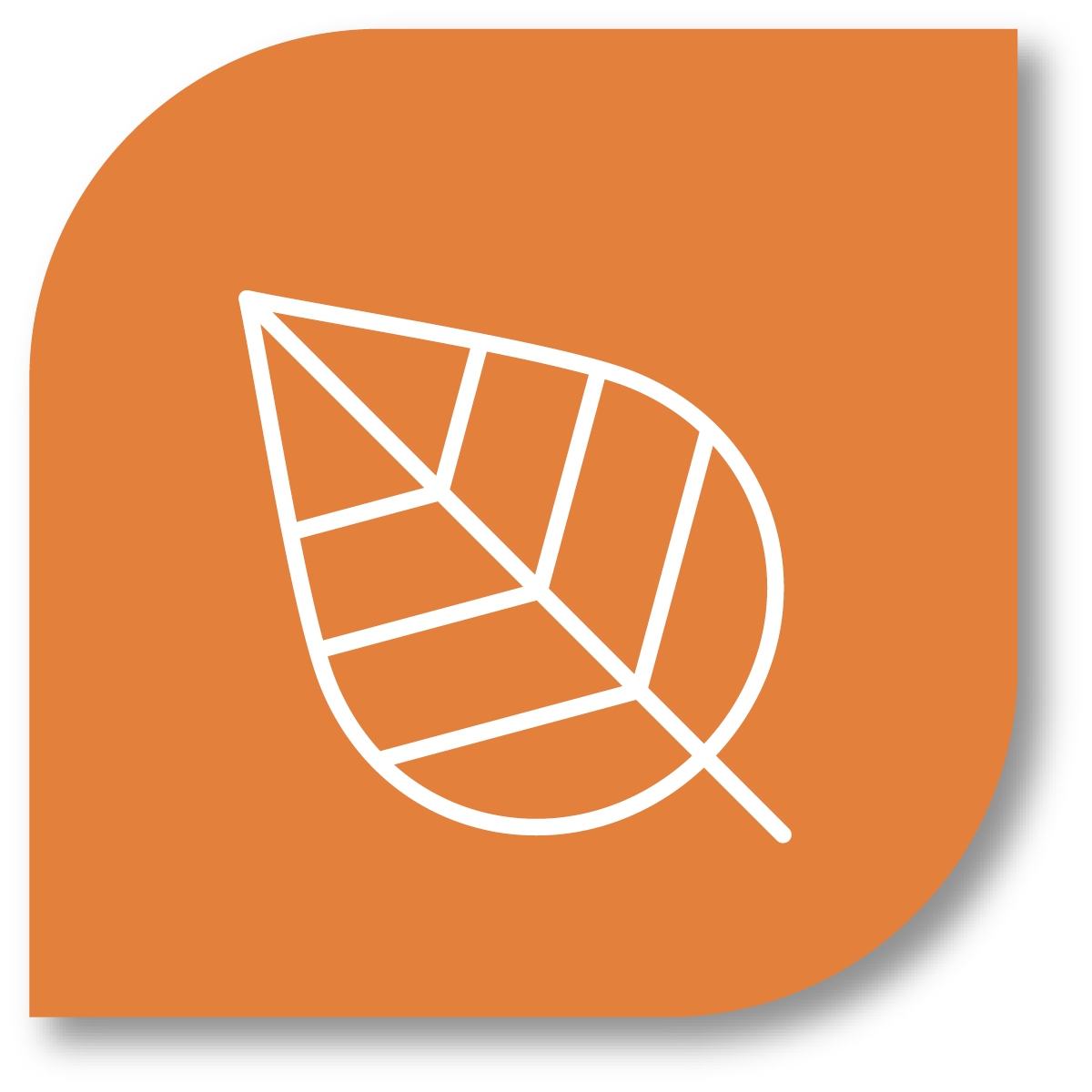 Planned Giving with CFNJ