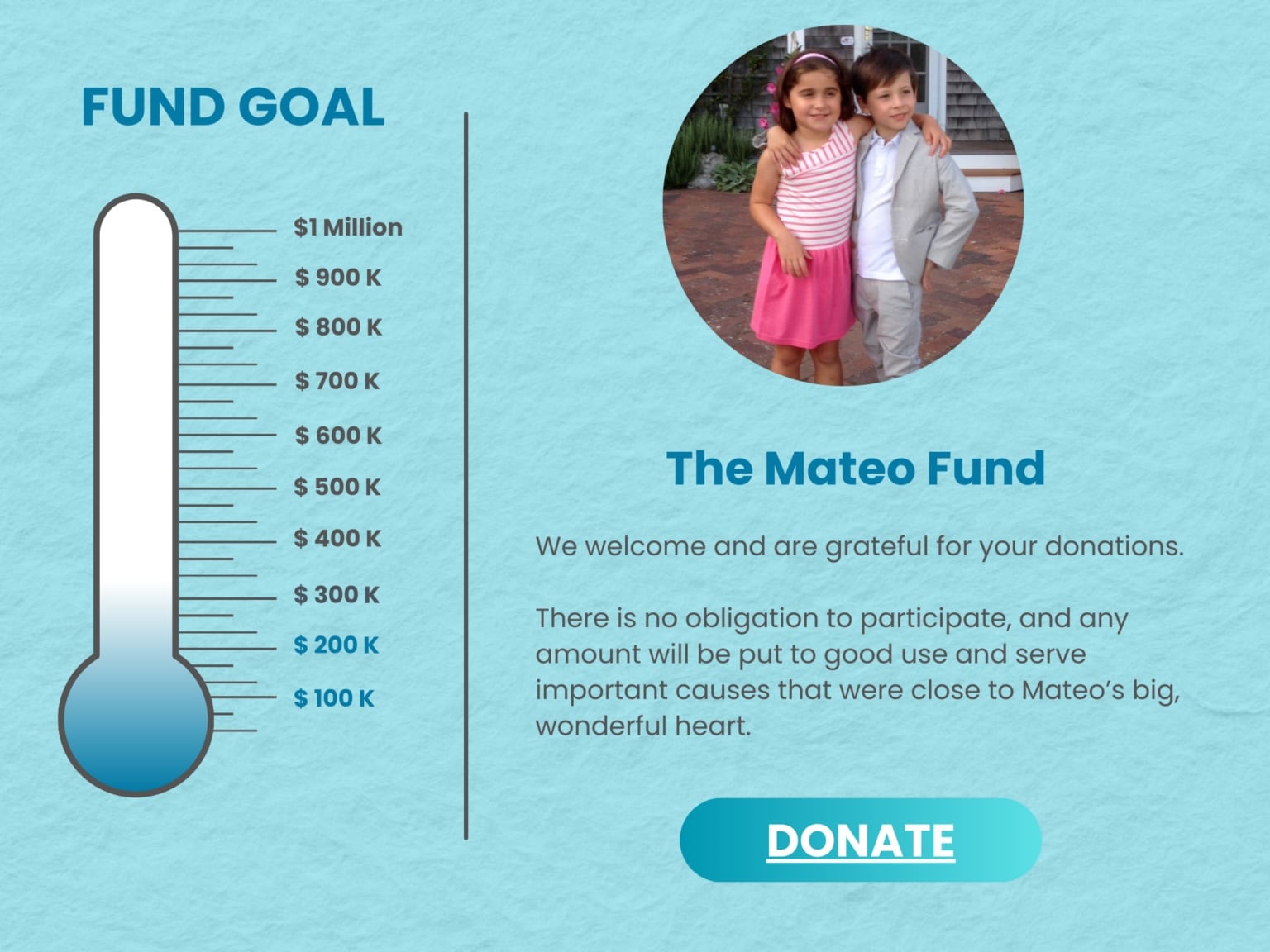 Mateo Fund Goal graph